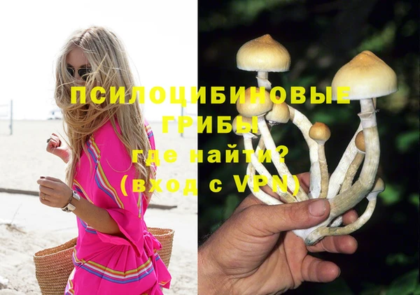 мяу мяу мука Армянск