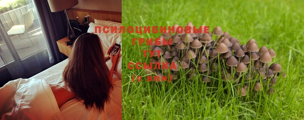 марки nbome Арсеньев
