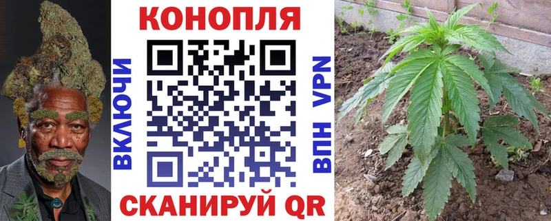 Бошки марихуана OG Kush  сайты даркнета Telegram  Пыть-Ях 